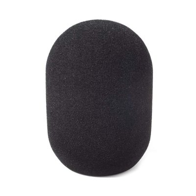 Rycote 45/100 Large Diaphram Mic Foam